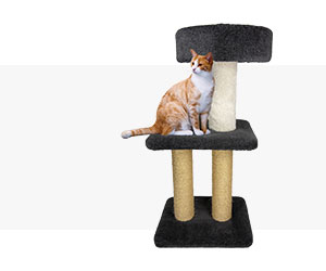 Menu Home Cat Posts Menu Home Cat Posts